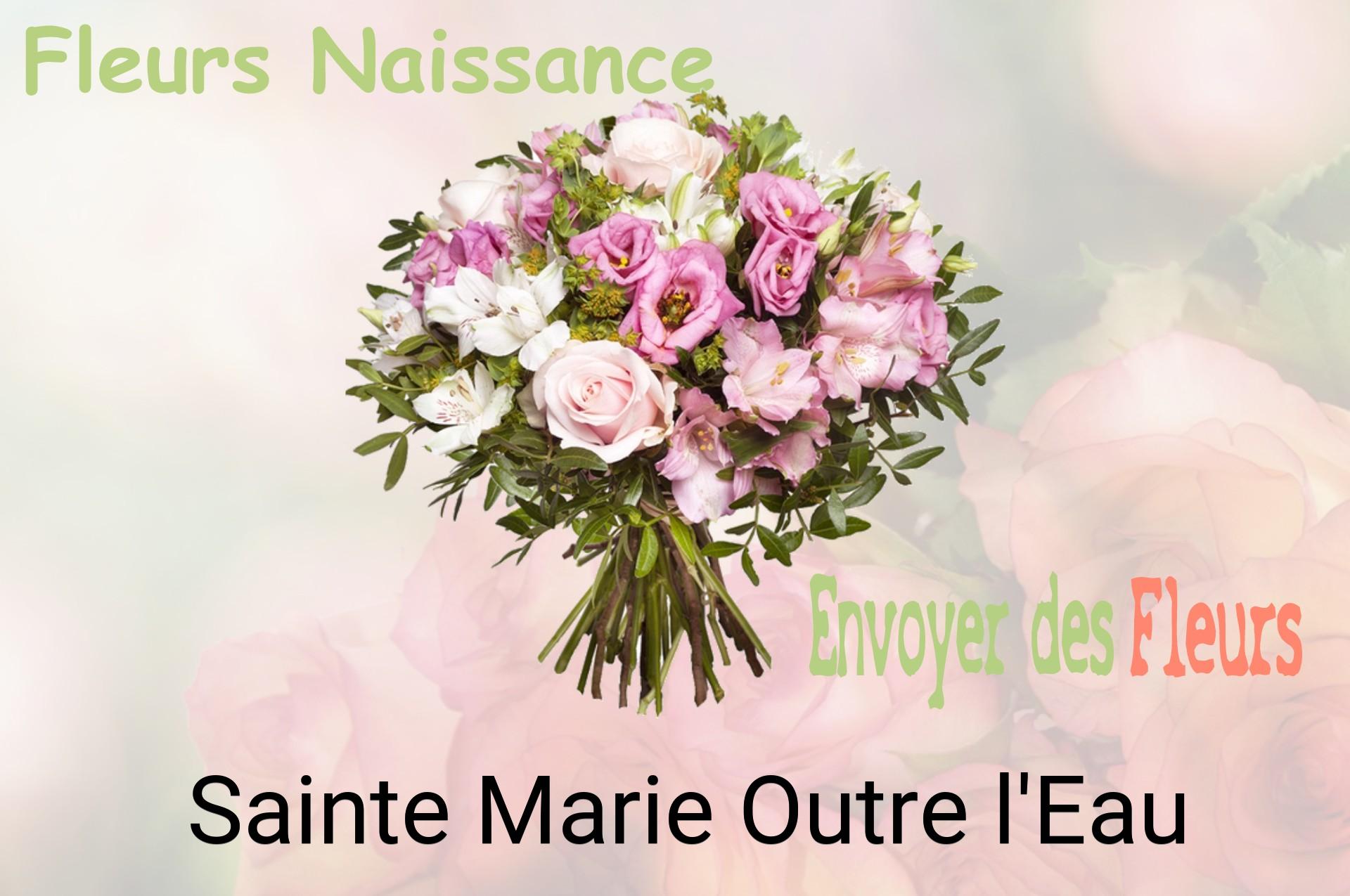 Bouquet de fleurs de naissance livré à Sainte-Marie-Outre-l'Eau